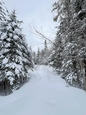 1606 Town Farm Road Sheffield VT 05866