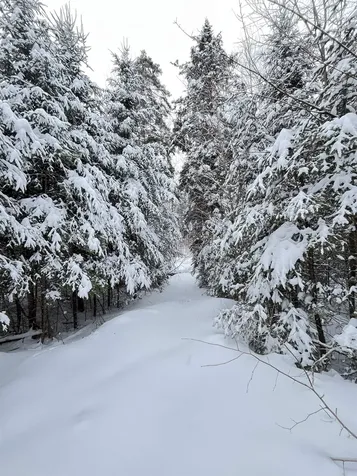 1606 Town Farm Road Sheffield VT 05866