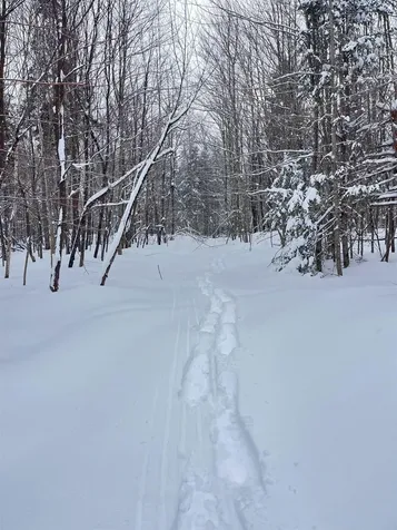 1606 Town Farm Road Sheffield VT 05866