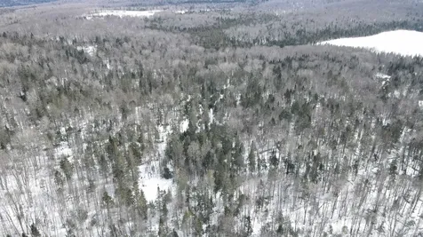 1606 Town Farm Road Sheffield VT 05866