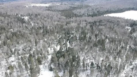 1606 Town Farm Road Sheffield VT 05866