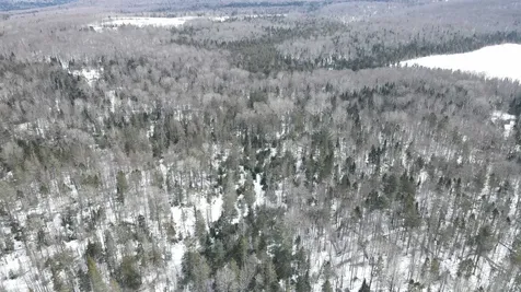 1606 Town Farm Road Sheffield VT 05866