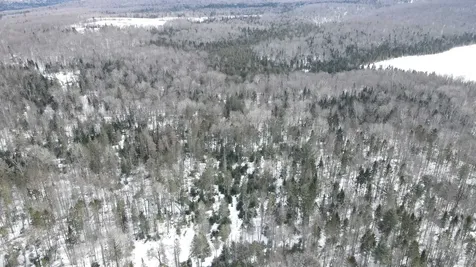 1606 Town Farm Road Sheffield VT 05866