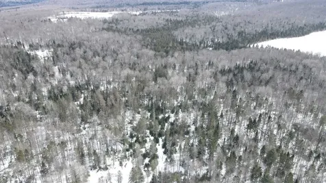 1606 Town Farm Road Sheffield VT 05866