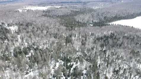 1606 Town Farm Road Sheffield VT 05866