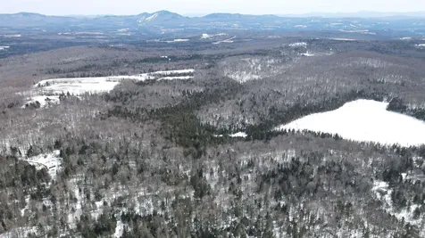 1606 Town Farm Road Sheffield VT 05866