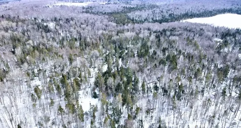 1606 Town Farm Road Sheffield VT 05866