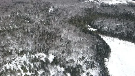 1606 Town Farm Road Sheffield VT 05866