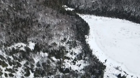 1606 Town Farm Road Sheffield VT 05866