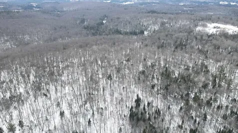 1606 Town Farm Road Sheffield VT 05866