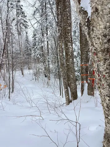 1606 Town Farm Road Sheffield VT 05866