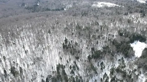 1606 Town Farm Road Sheffield VT 05866