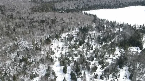 1606 Town Farm Road Sheffield VT 05866