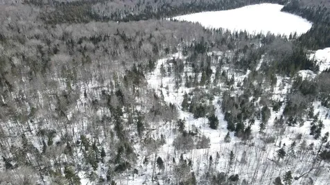 1606 Town Farm Road Sheffield VT 05866