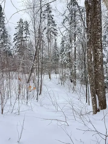 1606 Town Farm Road Sheffield VT 05866