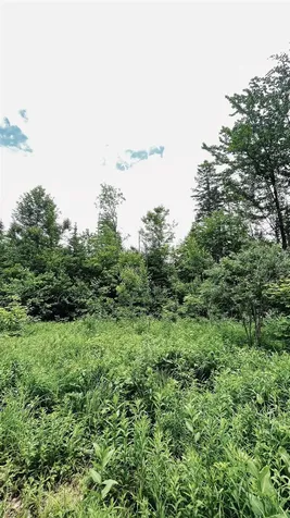 1606 Town Farm Road Sheffield VT 05866