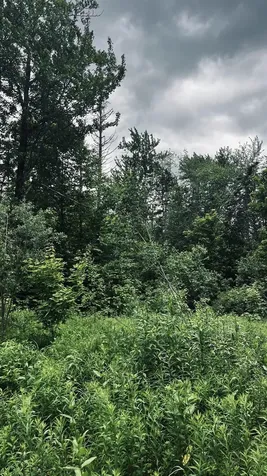 1606 Town Farm Road Sheffield VT 05866