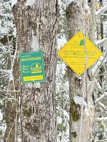 1606 Town Farm Road Sheffield VT 05866