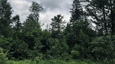 1606 Town Farm Road Sheffield VT 05866
