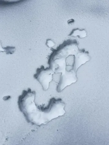 1606 Town Farm Road Sheffield VT 05866