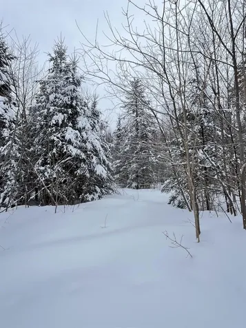 1606 Town Farm Road Sheffield VT 05866