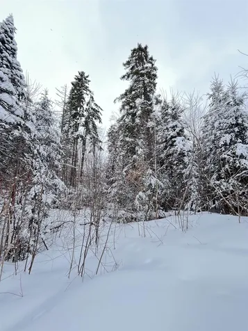 1606 Town Farm Road Sheffield VT 05866