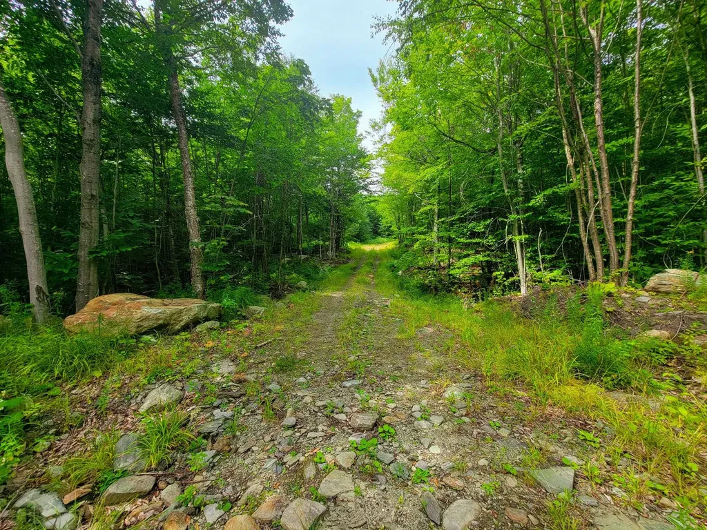 4166 Mines Road Lowell VT 05847