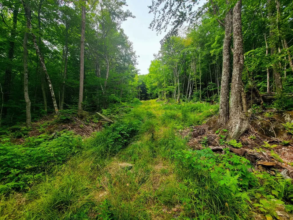 4166 Mines Road Lowell VT 05847