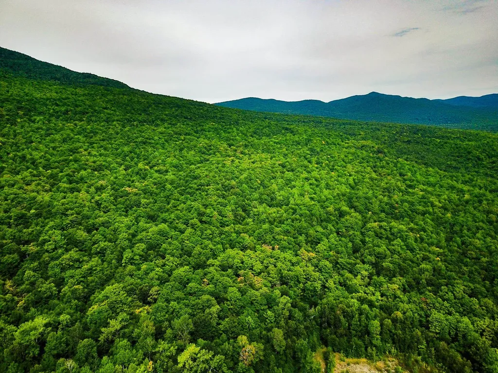 4166 Mines Road Lowell VT 05847