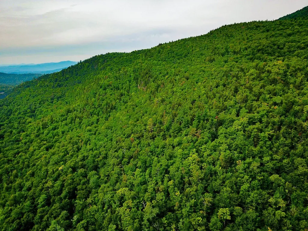 4166 Mines Road Lowell VT 05847