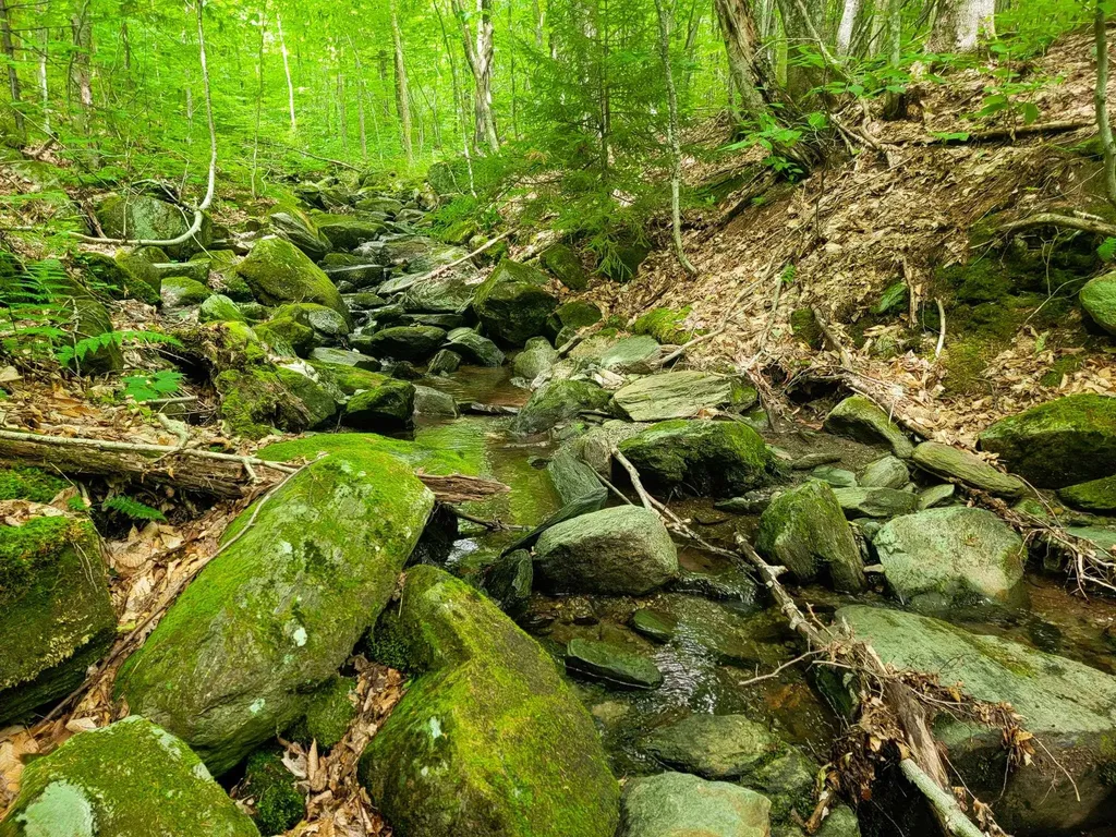 4166 Mines Road Lowell VT 05847