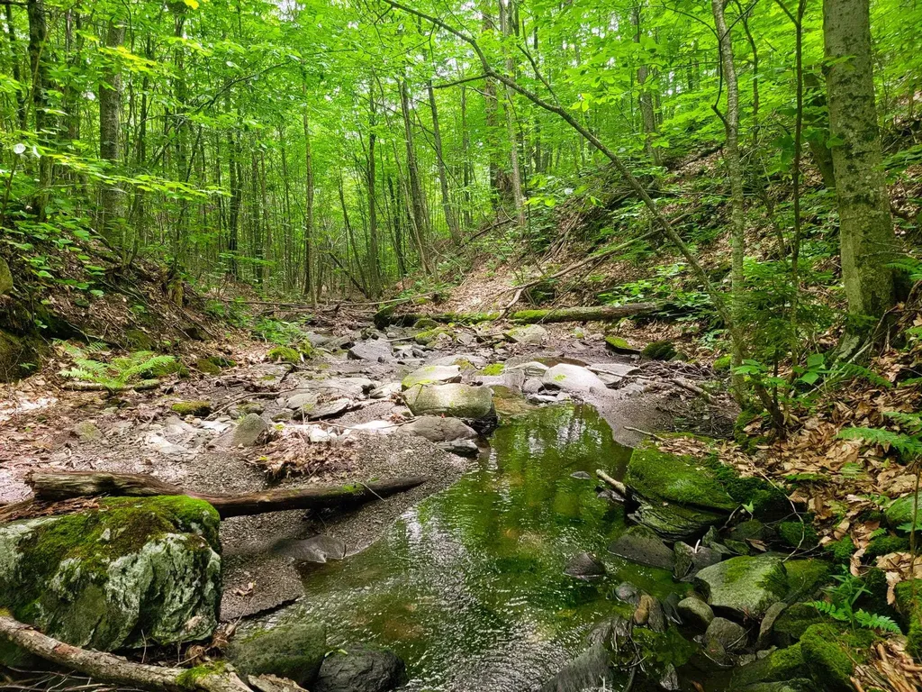 4166 Mines Road Lowell VT 05847