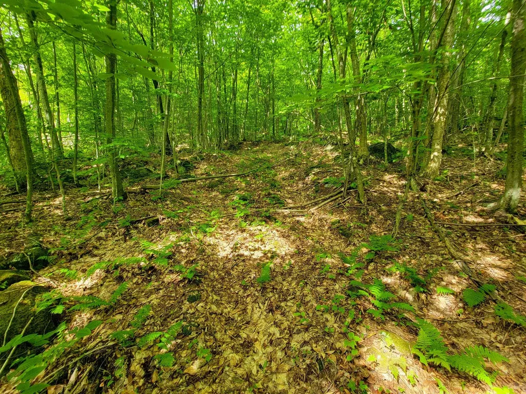 4166 Mines Road Lowell VT 05847