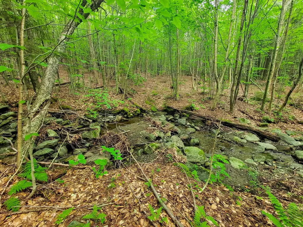 4166 Mines Road Lowell VT 05847