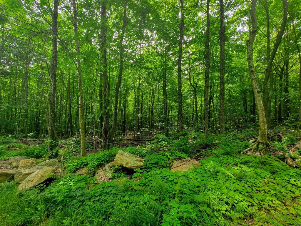 4166 Mines Road Lowell VT 05847