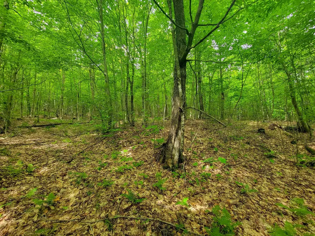 4166 Mines Road Lowell VT 05847