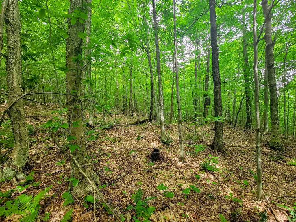 4166 Mines Road Lowell VT 05847