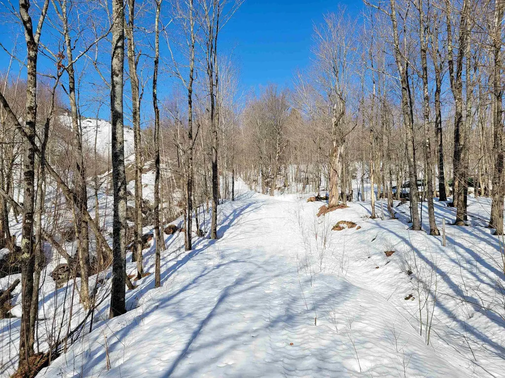 4166 Mines Road Lowell VT 05847