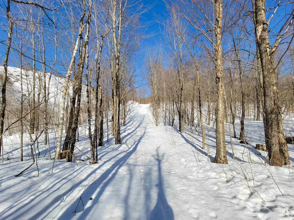 4166 Mines Road Lowell VT 05847