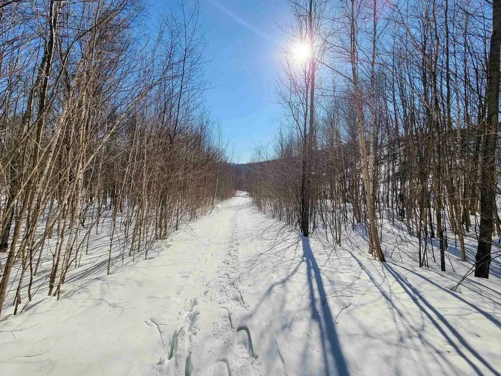 4166 Mines Road Lowell VT 05847