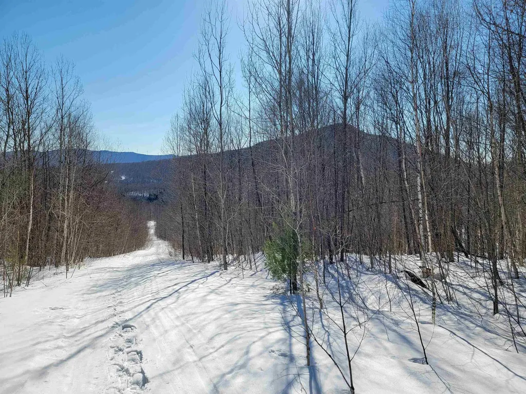 4166 Mines Road Lowell VT 05847