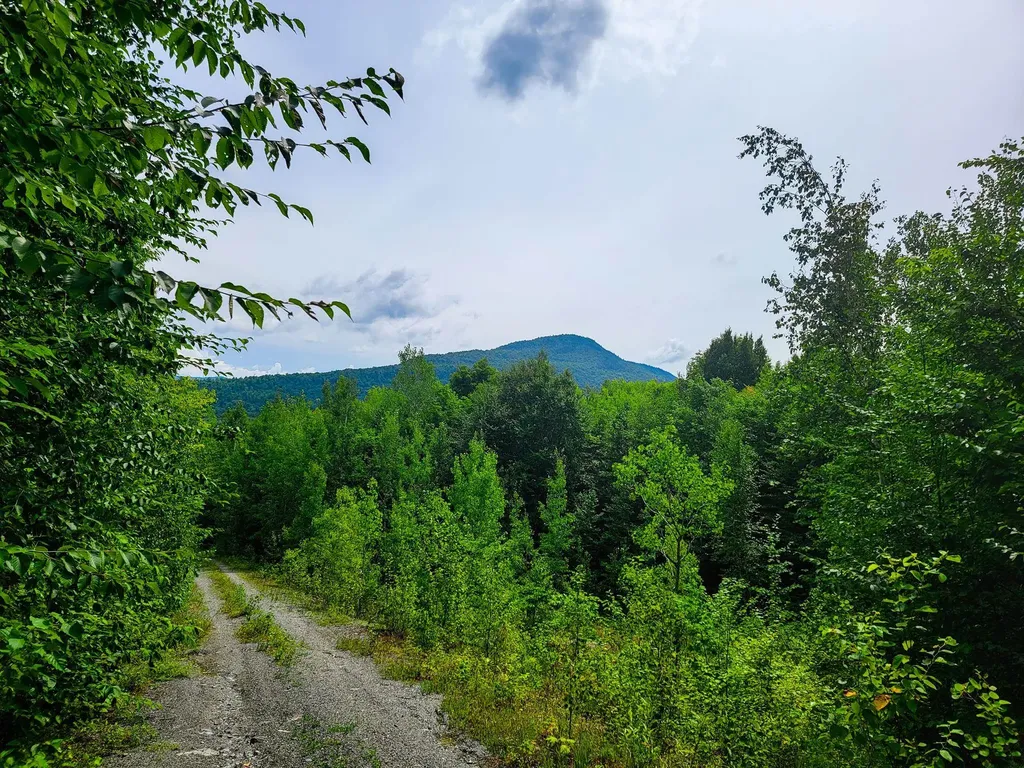 4166 Mines Road Lowell VT 05847