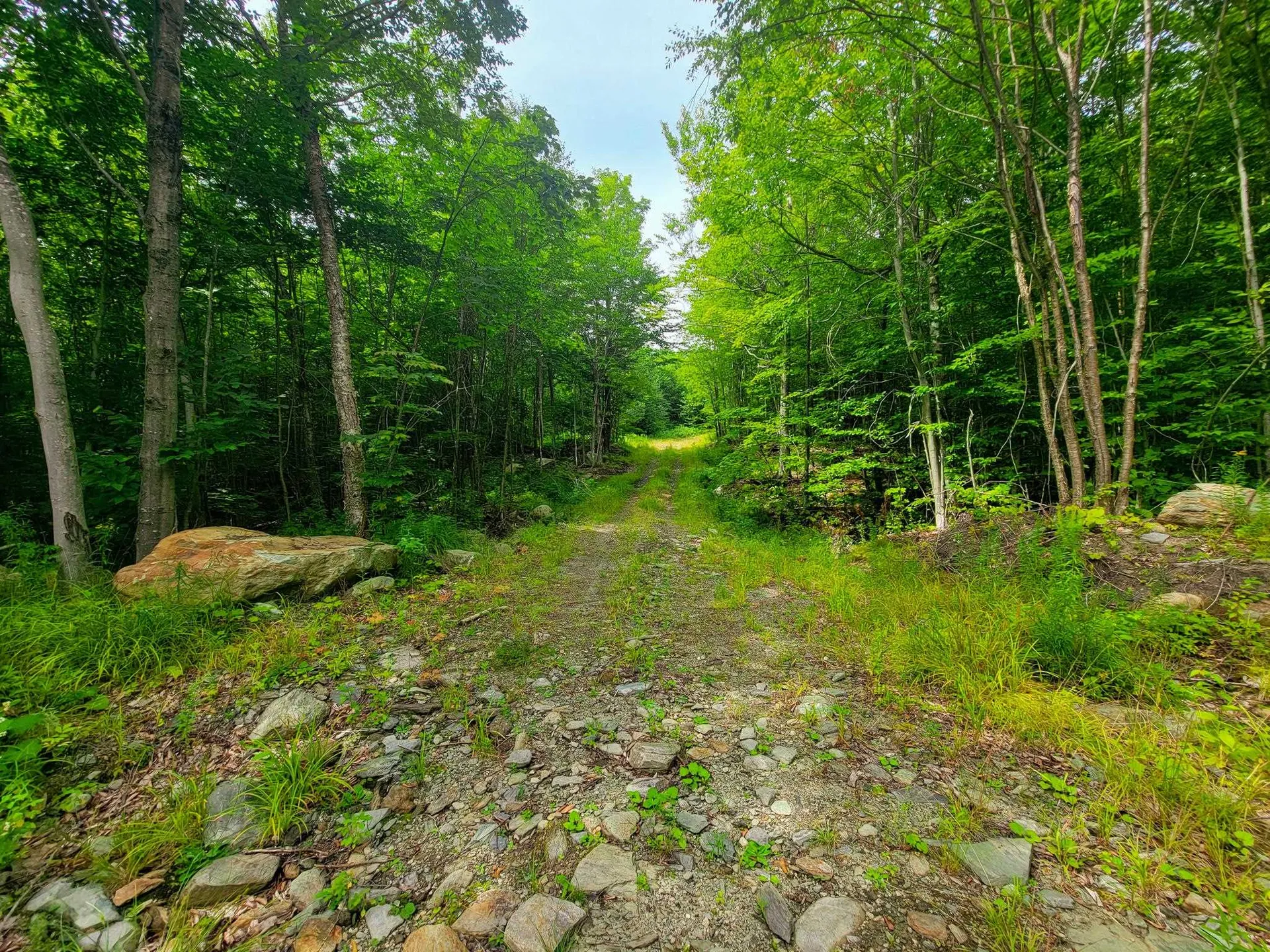 4166 Mines Road Lowell VT 05847