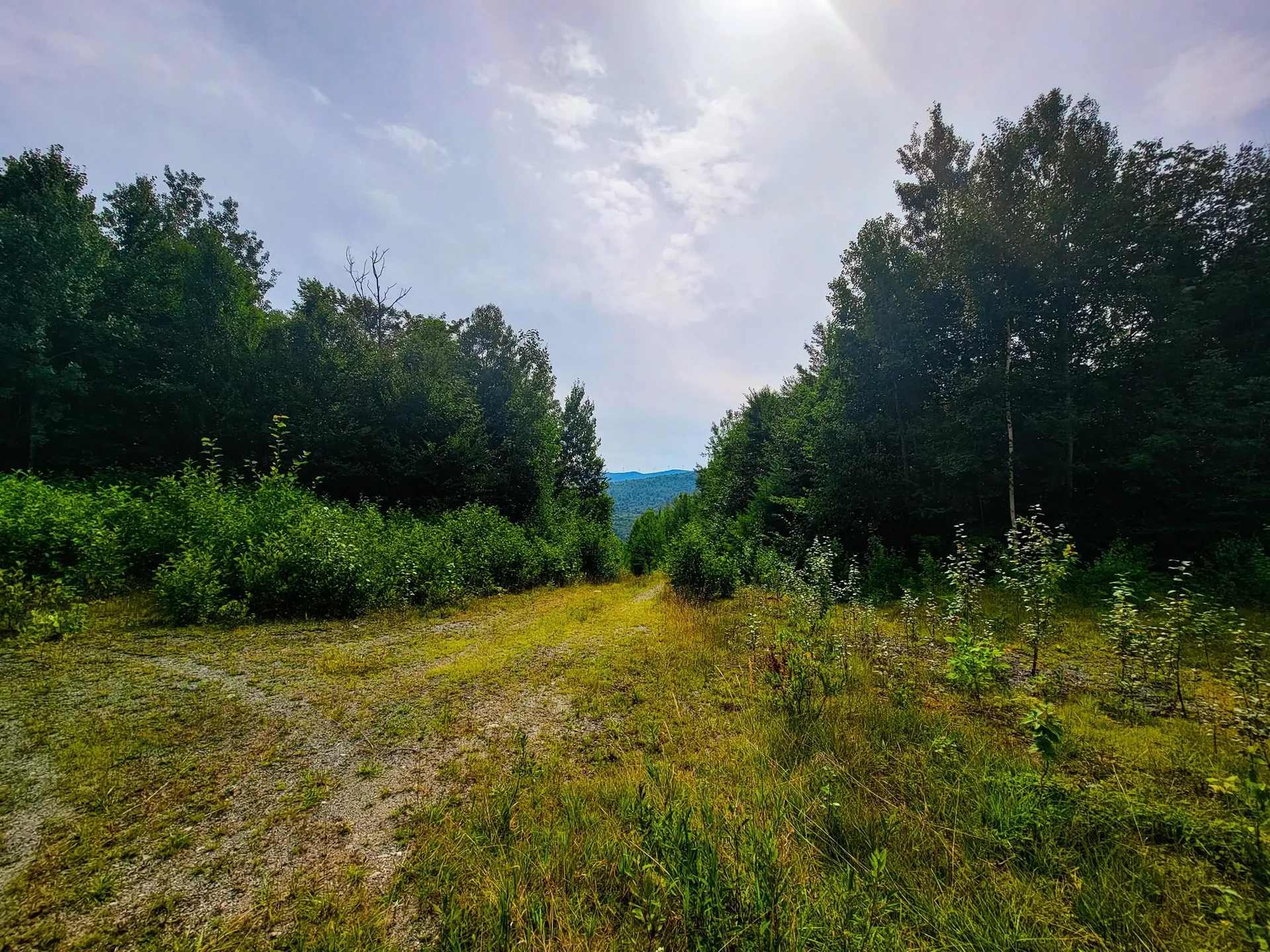 4166 Mines Road Lowell VT 05847