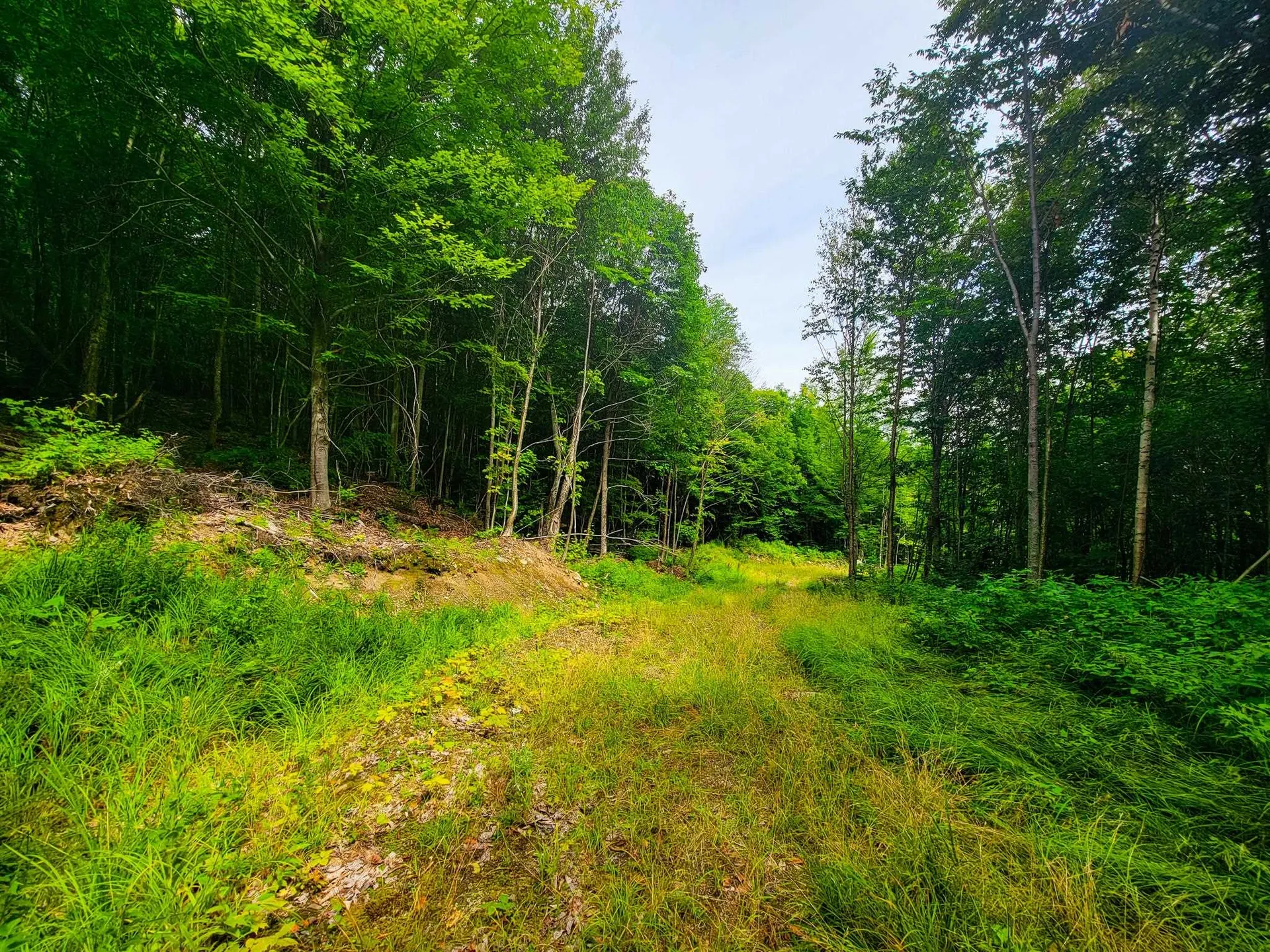 4166 Mines Road Lowell VT 05847