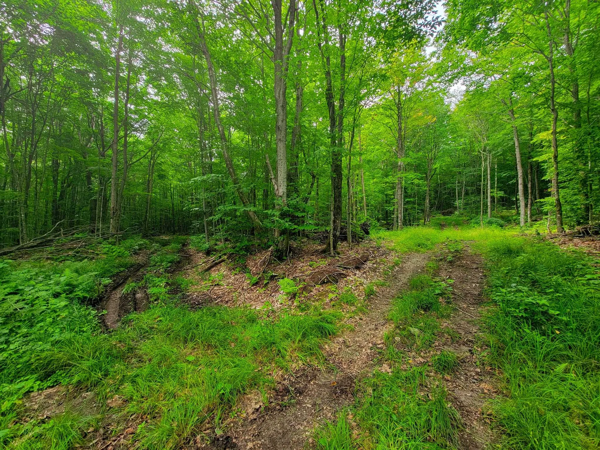 4166 Mines Road Lowell VT 05847