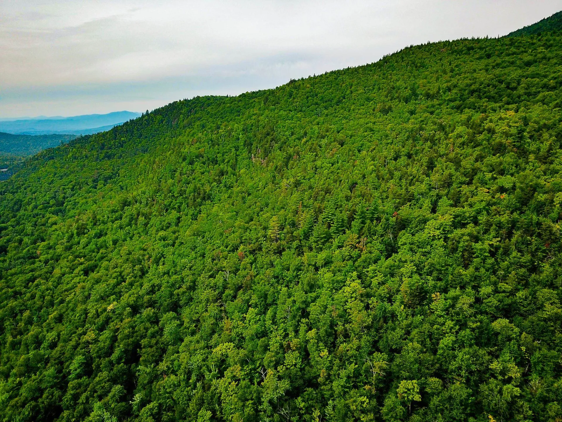 4166 Mines Road Lowell VT 05847