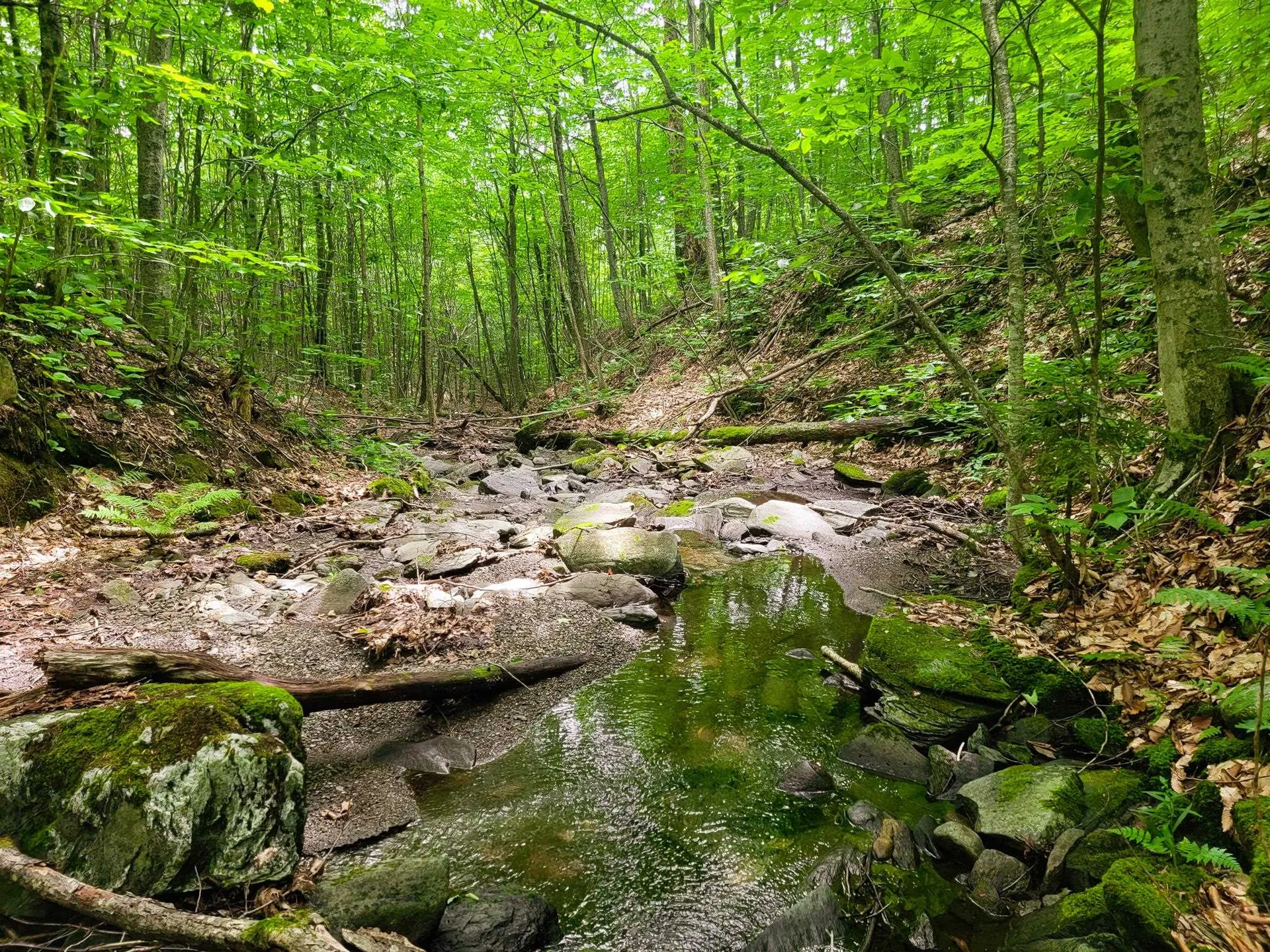 4166 Mines Road Lowell VT 05847