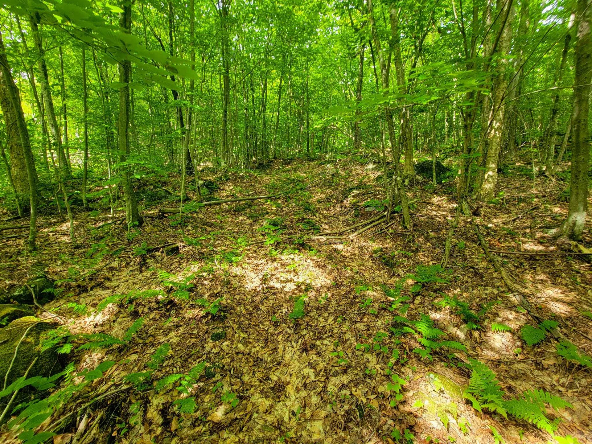 4166 Mines Road Lowell VT 05847