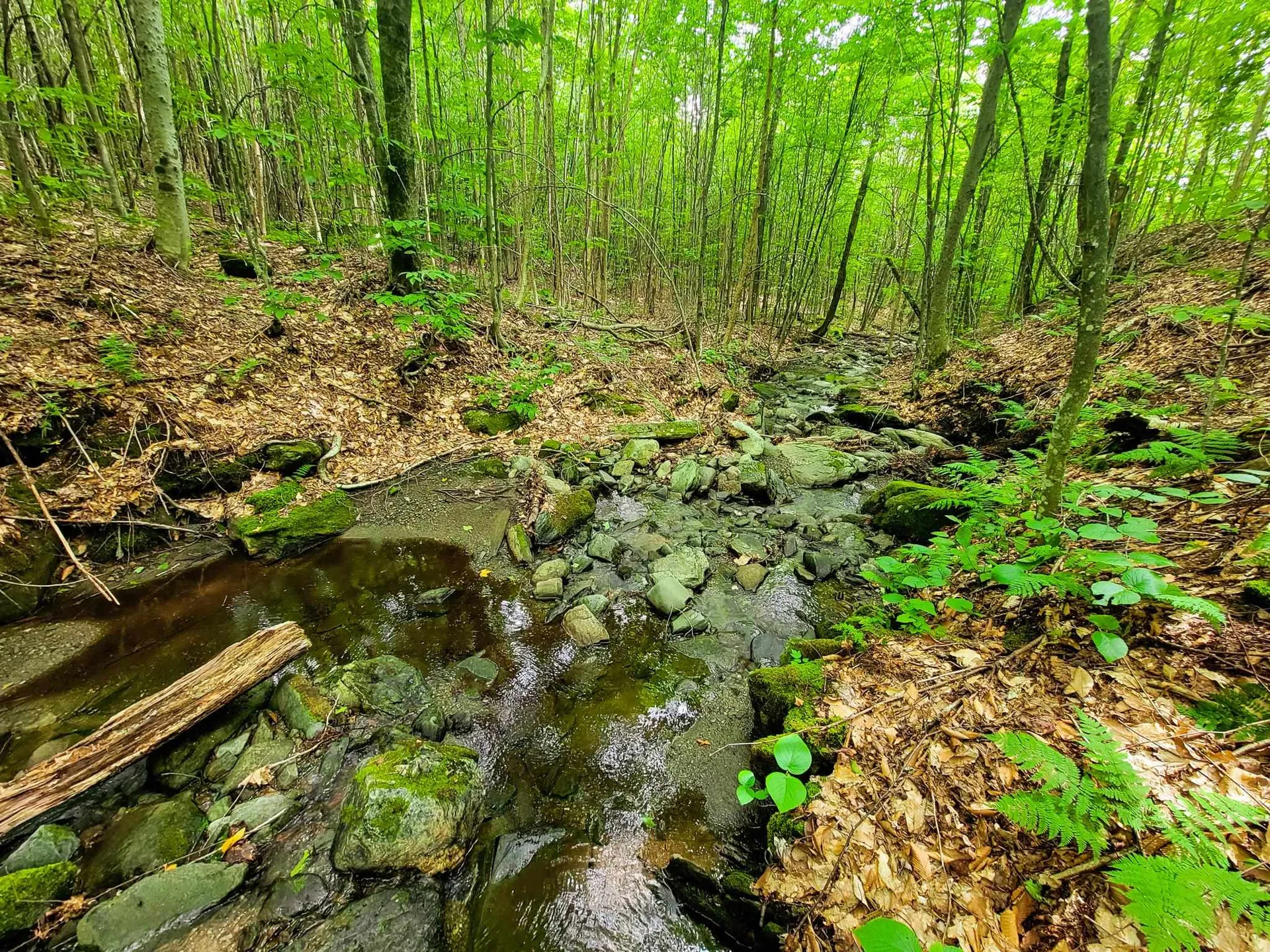 4166 Mines Road Lowell VT 05847